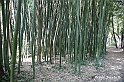 VBS_1561 - Castello di Miradolo - Mostra Oltre il giardino l'Abbecedario di paolo Pejrone